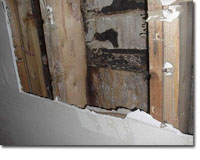 albany home inspection, rensselaer county home inspection, schenectady county home inspection, saratoga county home inspection, montgomery county home inspection, warren county home inspection